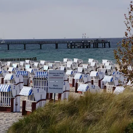 Sonnenschein Kuehlungsborn